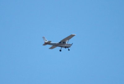 Flying over the park