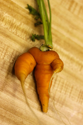 Now that is a carrot!