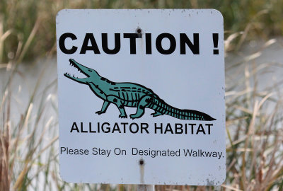 Caution!  Alligator Habitat