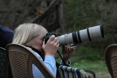 Canon 400mm in action
