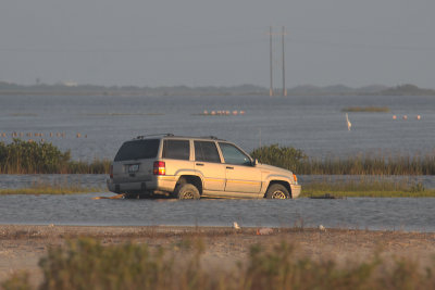 Stranded Auto