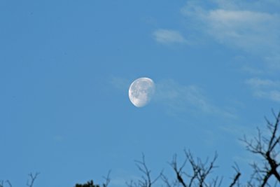 Moon in the Morning Redux