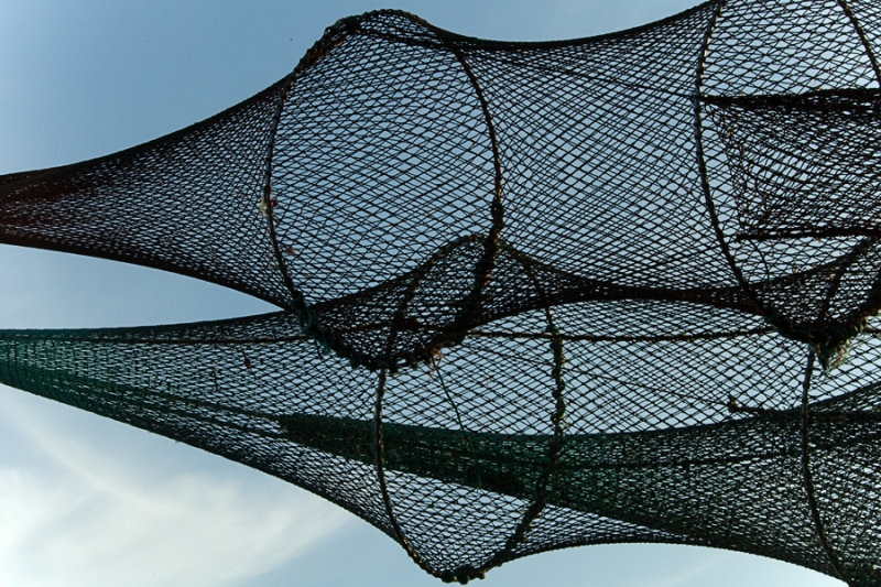 Fishing net / Fiskenet
