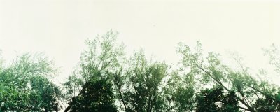 Lim Yaohui_reD1000007.jpg