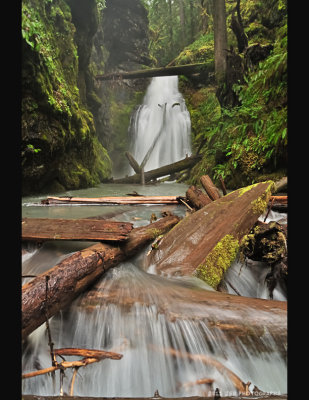 Trestle Creek Falls