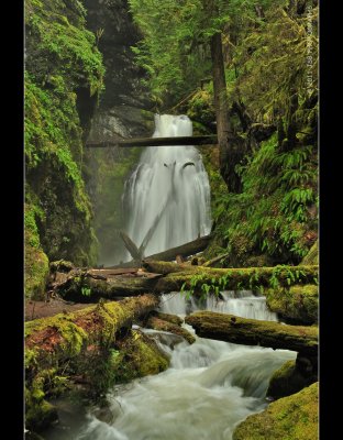 Trestle Creek Falls trail NO. 1403C