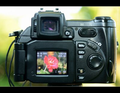 Nikon coolpix (1024x796).jpg