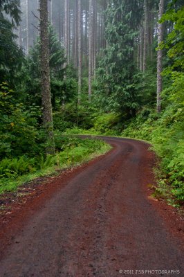 Forest Road 2