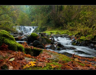 Sweet Creek falls