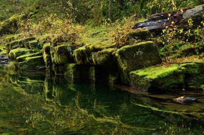 Reflections of Green