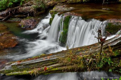 Fall Creek Falls