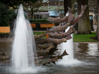 Salmon fountain sculpture