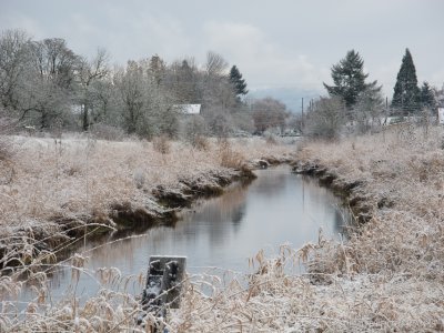 Cold winter day