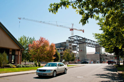 DSC_0005.jpg