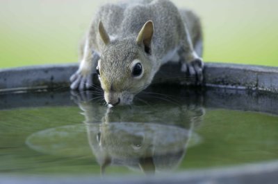 _DSC3293-Edit.jpg