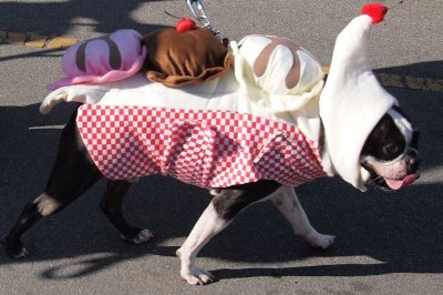 ice cream sundae anyone????