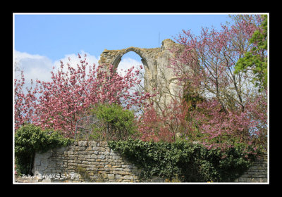 Abbaye de Maillezais