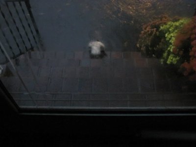 FlashFlood 100411-68.JPG