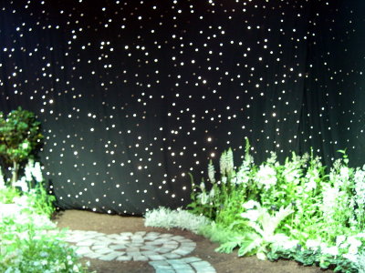 2006 Flower Show- (07).JPG