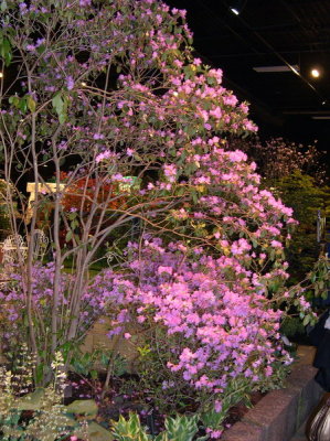 2006 Flower Show- (13).JPG