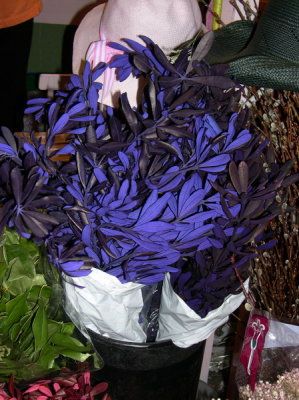 2006 Flower Show- (42).JPG