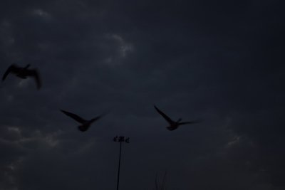 g4/65/1015865/3/143722674.2kSFqgkU.jpg