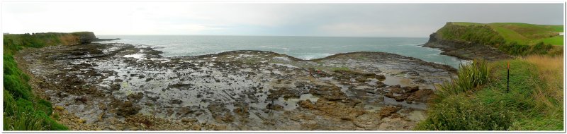 Curio Bay Petrified Forest Pano