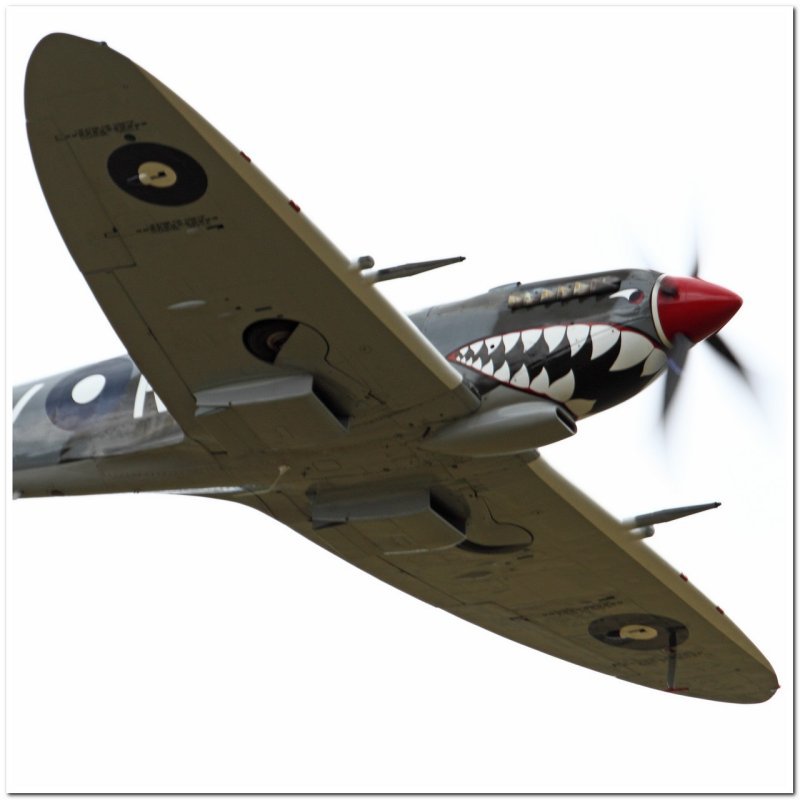 Spitfire Mk 8