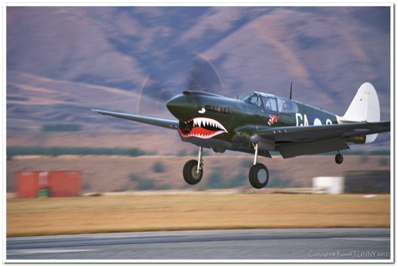 P40 Kittyhawk