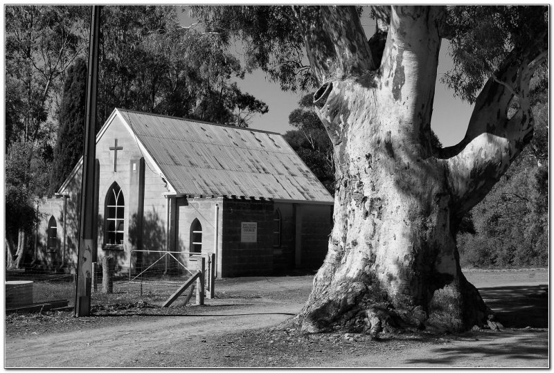 Tree & Church