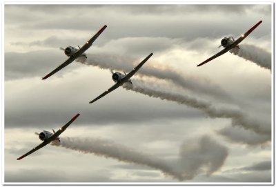 Harvard Aerobatics Team