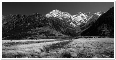View to Mt Cook National Park Pano