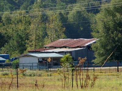 Camp Tyler farm