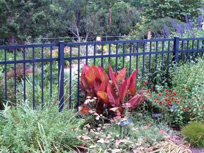 P5223596 copy.jpg
