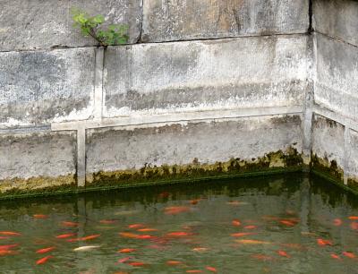 Forbidden City