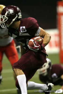 Matthew Peressini
