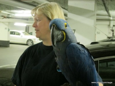 IMG_0598.JPG