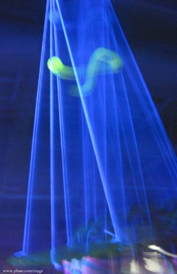 IMG_8131.jpg