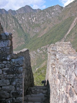 g4/65/253765/3/65245085.BNiiqlSw.jpg