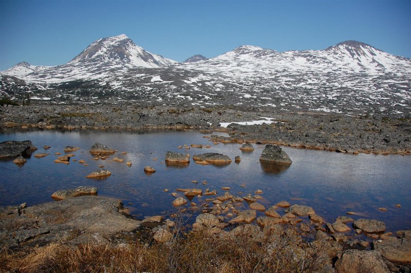 DSC_4220.JPG