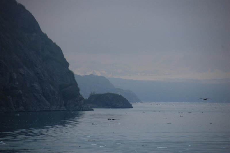 DSC_4587.JPG
