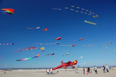 DSC_5942.JPG
