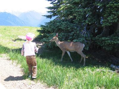 IMG_3469.JPG