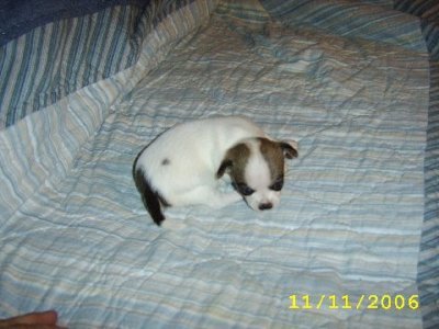 Almost a Month Old (2)