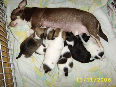 Nursing with Mom