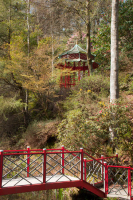 Chinese Pagoda and Bridge, Salutation Wood