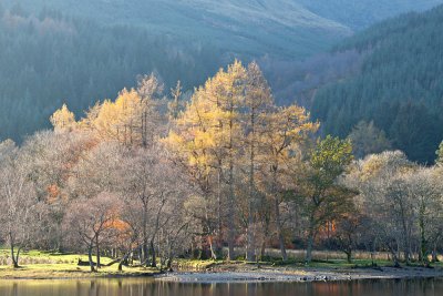 Late Autumn in Scotland