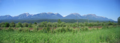 w082.jpg