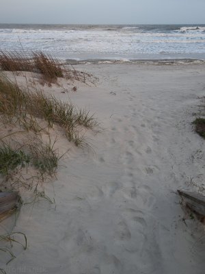 20121519kiawah0411.jpg