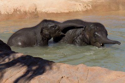 bathtime.jpg